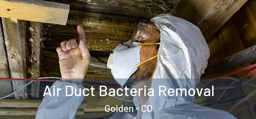  Air Duct Bacteria Removal Golden - CO