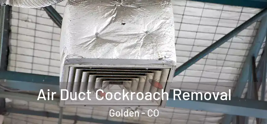  Air Duct Cockroach Removal Golden - CO