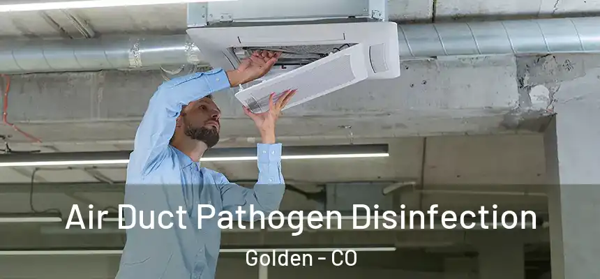  Air Duct Pathogen Disinfection Golden - CO
