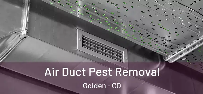  Air Duct Pest Removal Golden - CO