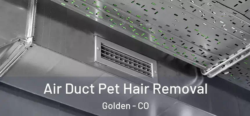 Air Duct Pet Hair Removal Golden - CO