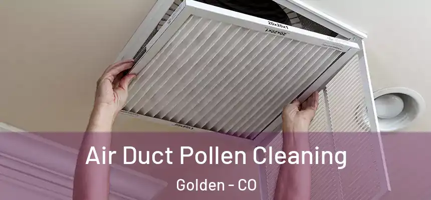  Air Duct Pollen Cleaning Golden - CO