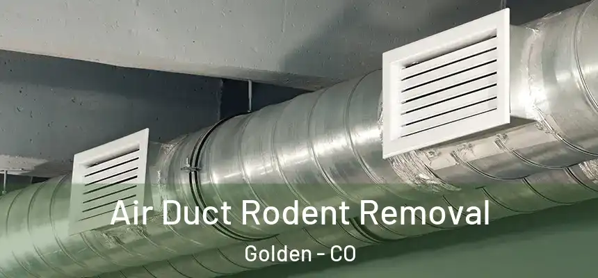  Air Duct Rodent Removal Golden - CO
