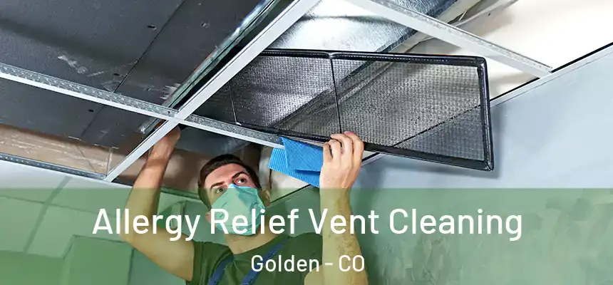  Allergy Relief Vent Cleaning Golden - CO