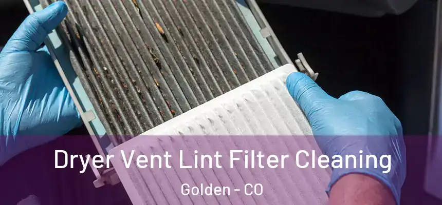  Dryer Vent Lint Filter Cleaning Golden - CO