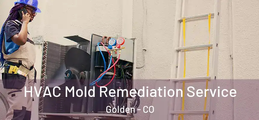  HVAC Mold Remediation Service Golden - CO