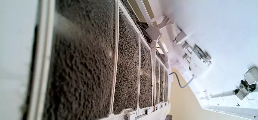 Preventive Air Duct Bacteria Removal in Golden