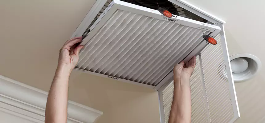 Preventive Cockroach-Proofing for Ducts in Golden