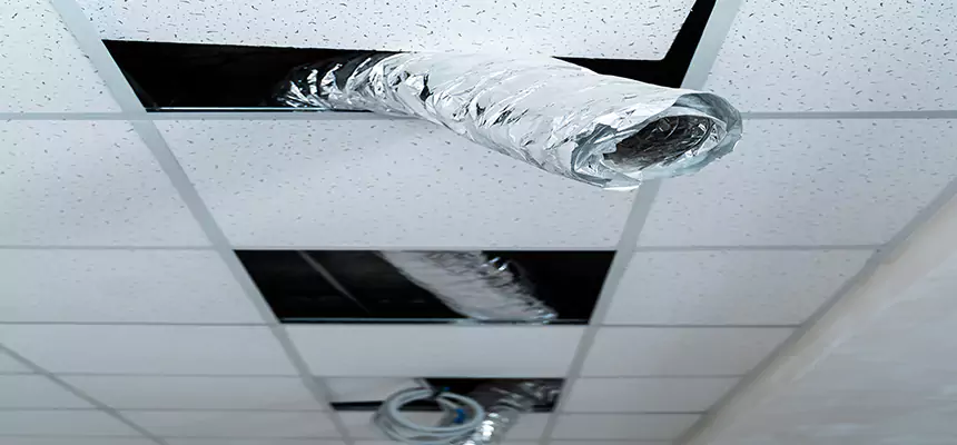 Our Air Duct Pet Hair Removal Services in Golden, CO