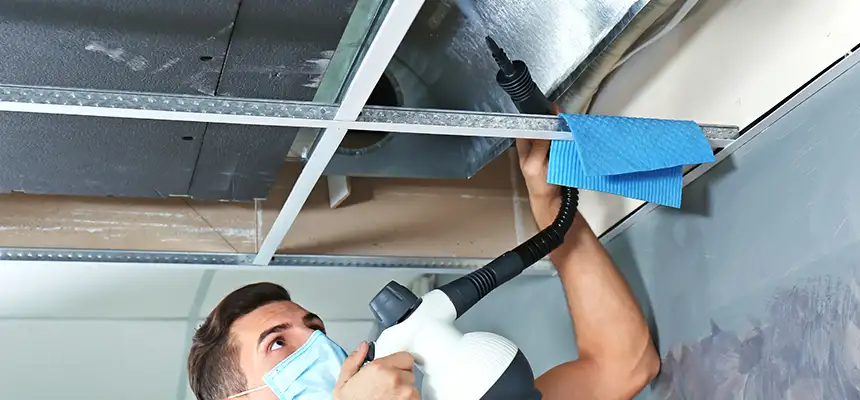 Our Air Duct Rodent Removal Services in Golden, CO