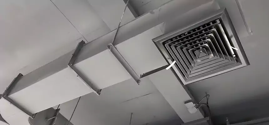 Restorative Allergy Relief Vent Cleaning – Coil, Blower & Housing Detail in Golden