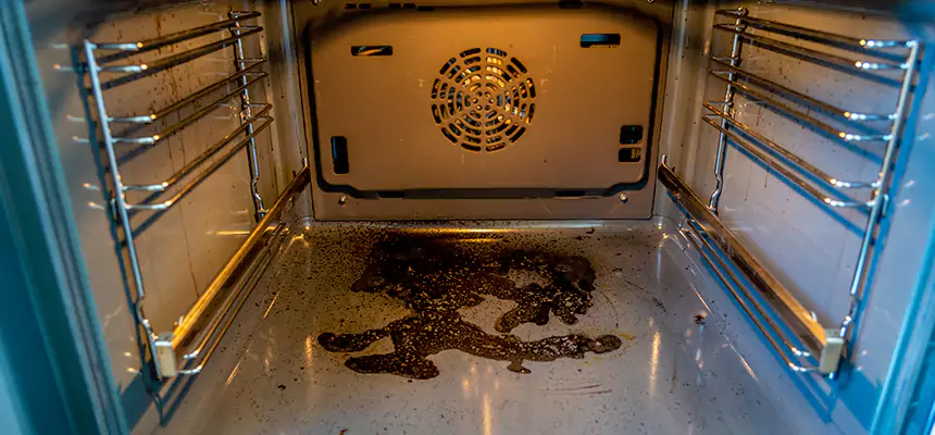 Our Dryer Vent Mold Cleaning Services in Golden, CO