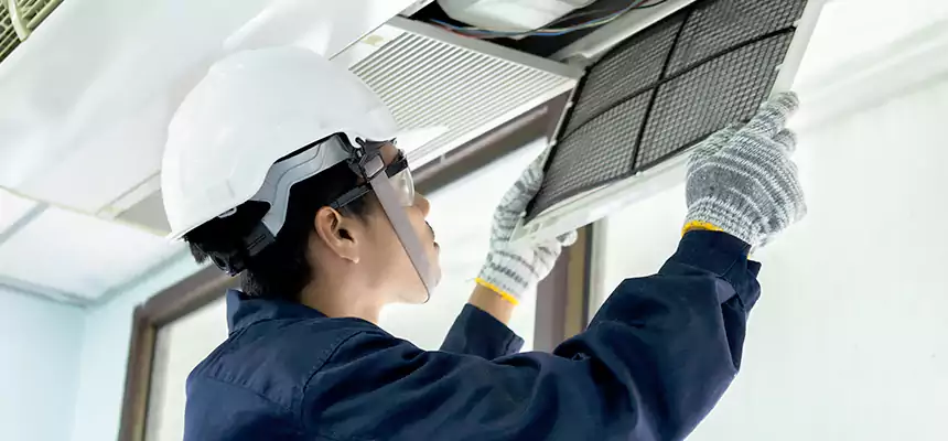 Our Mold & Mildew Removal from Air Ducts Services in Golden, CO