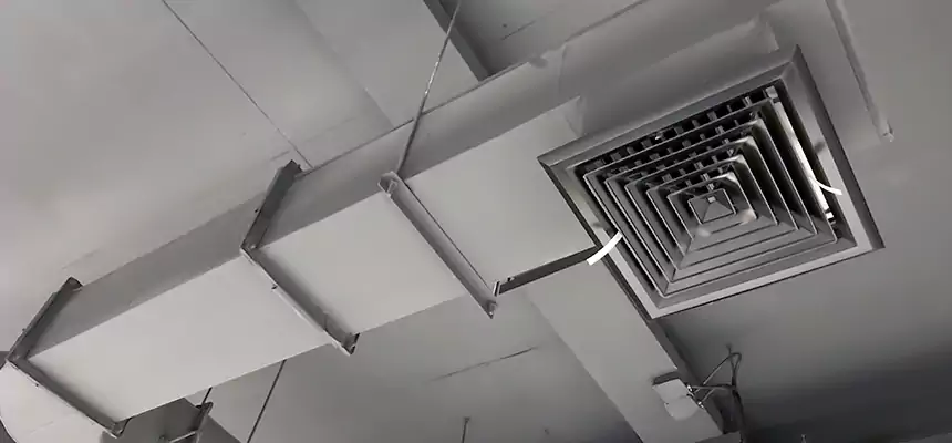 Our Pest Removal From Ducts Services in Golden, CO