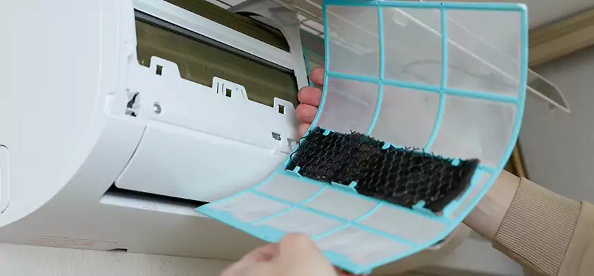 Gentle Ductwork Odor-Control Pet Dander Duct Cleaning in Golden, CO