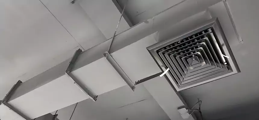 Our Rodent Droppings In Vents Services in Golden, CO