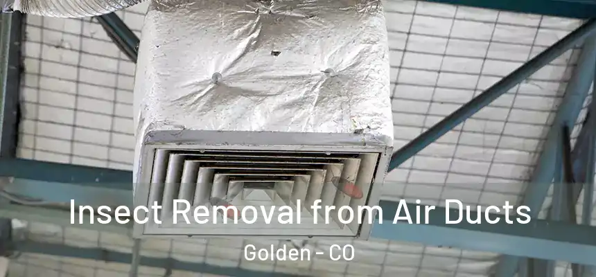  Insect Removal from Air Ducts Golden - CO