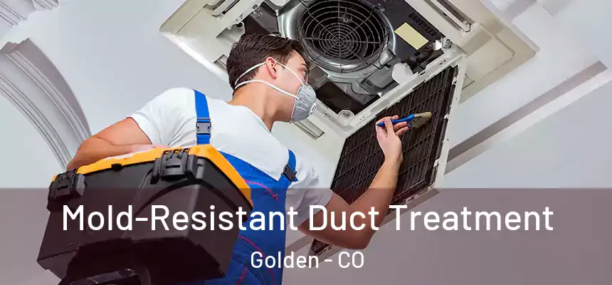  Mold-Resistant Duct Treatment Golden - CO