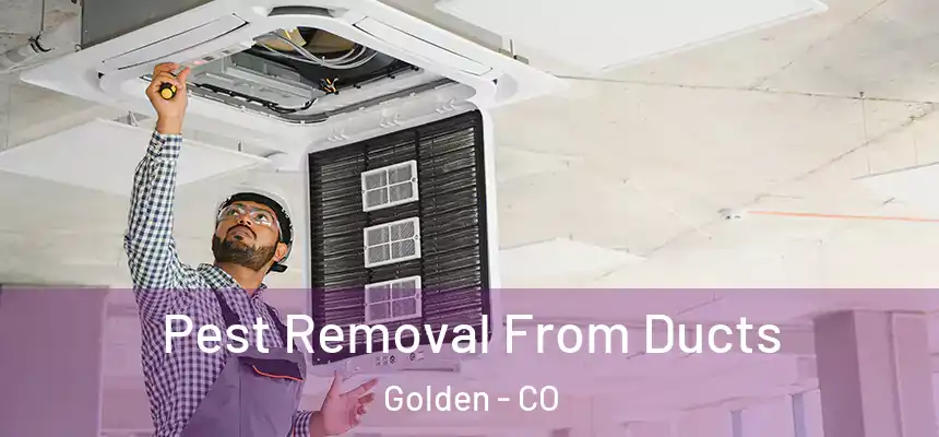  Pest Removal From Ducts Golden - CO