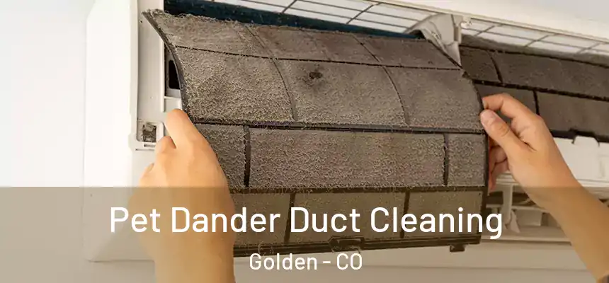 Pet Dander Duct Cleaning Golden - CO