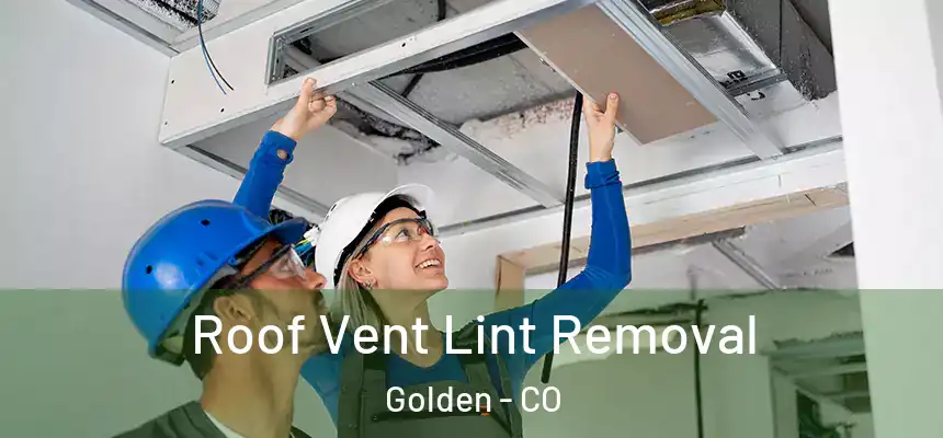  Roof Vent Lint Removal Golden - CO