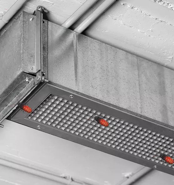 About Air Duct Cockroach Removal in Golden, CO