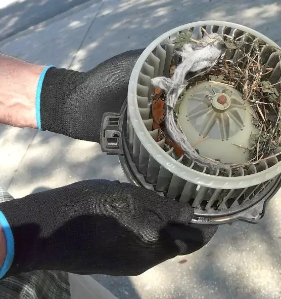 About Air Duct Mice Removal in Golden, CO