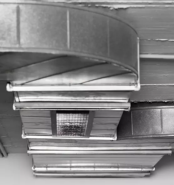 Professional Air Duct Pet Hair Removal in Golden, CO