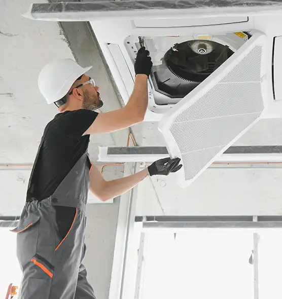 About Air Duct Rodent Removal in Golden, CO