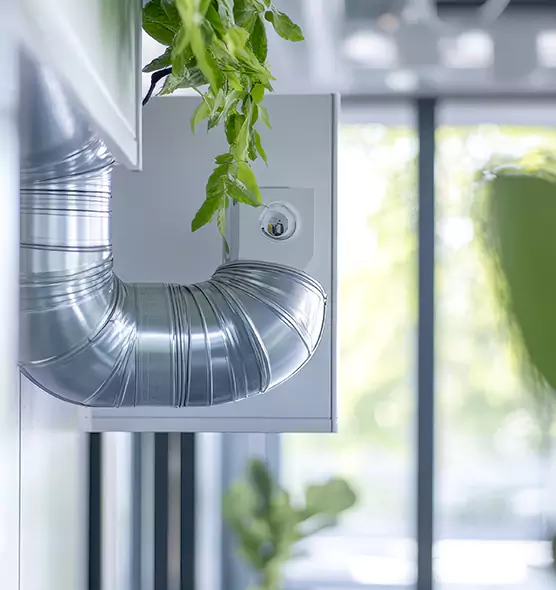 Professional Eco-Friendly Duct Cleaning Services in Golden, CO