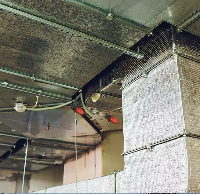 Why Homeowners & Businesses Trust Us in Golden, CO?