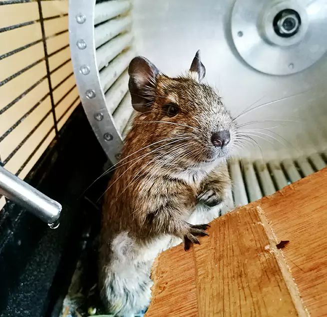 Why Homeowners & Businesses Trust Us Golden, CO