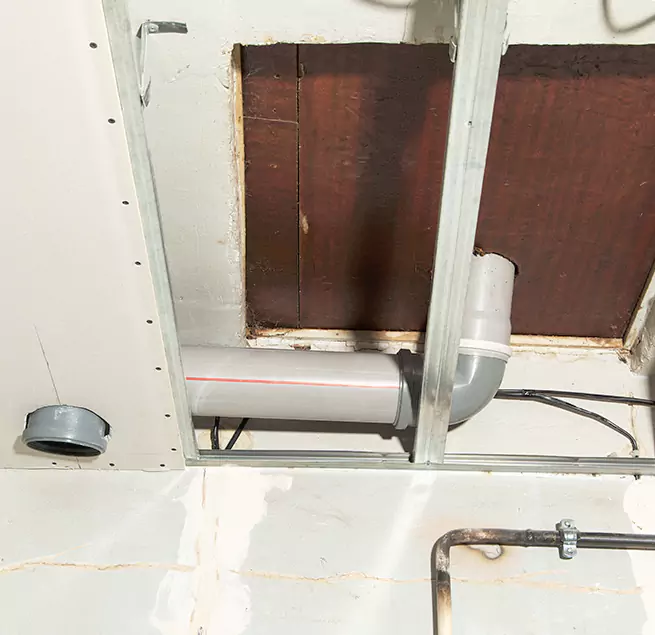 Why Homeowners & Businesses Trust Us in Golden, CO?