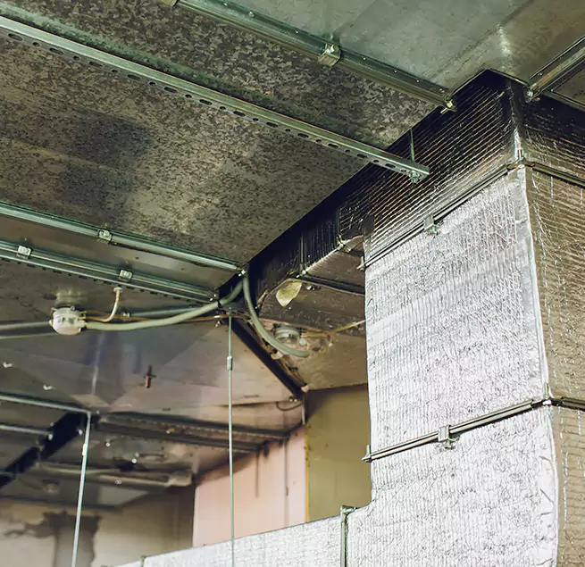 Why Homeowners & Businesses Trust Us in Golden, CO?